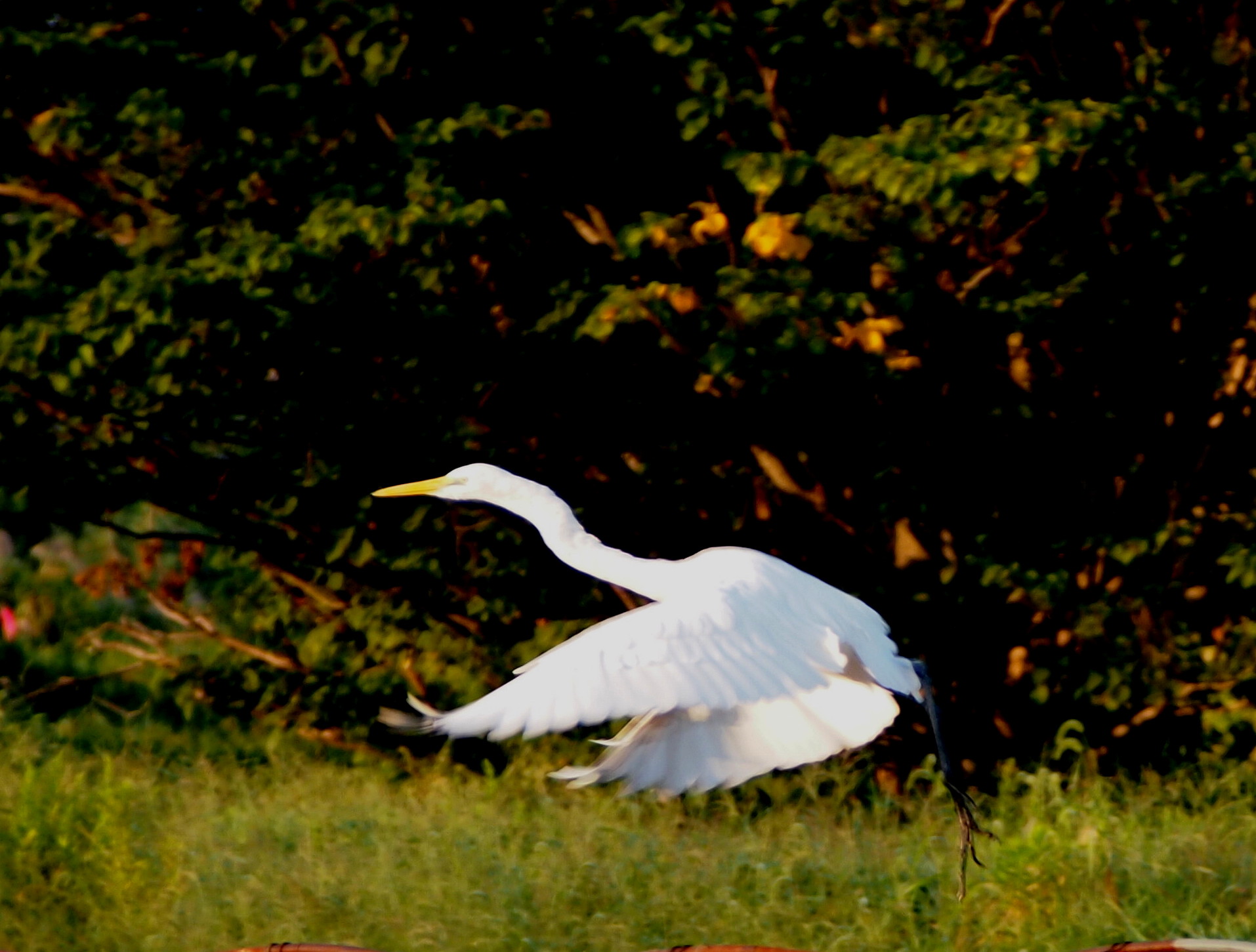 d0048812_9572570.jpg