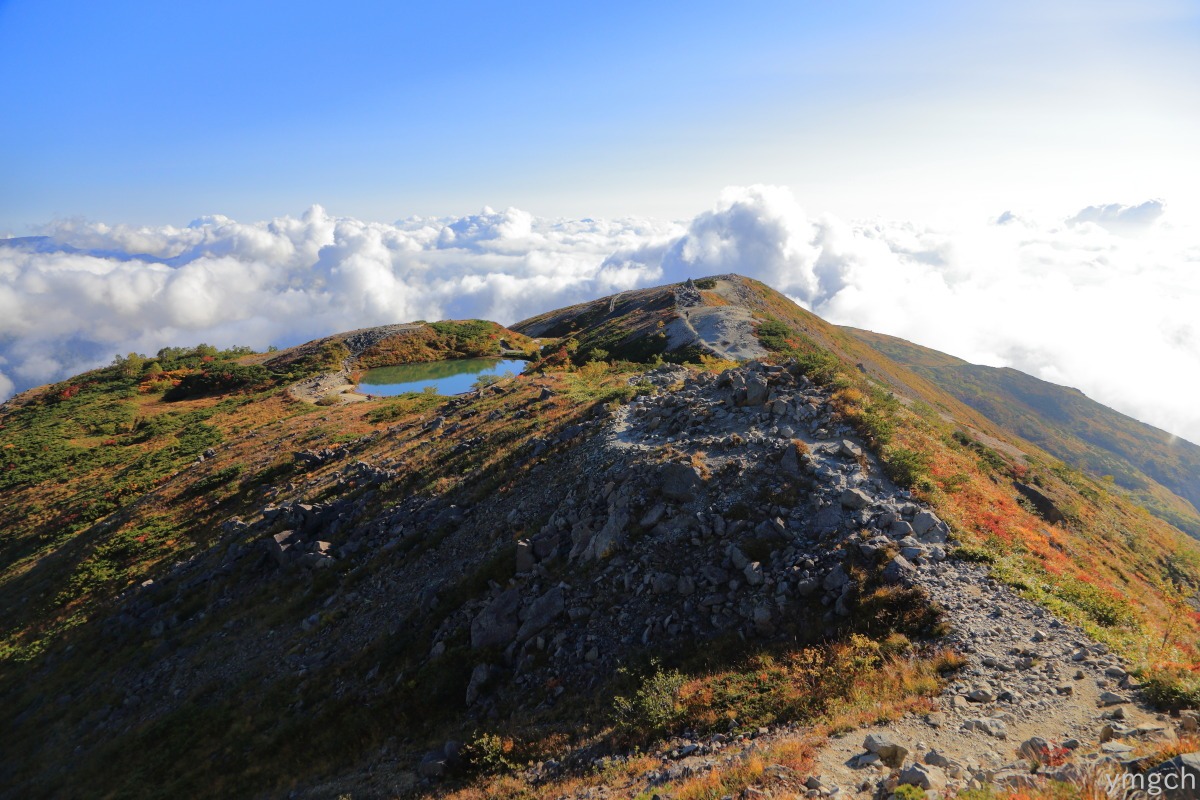 f0157812_15445421.jpg