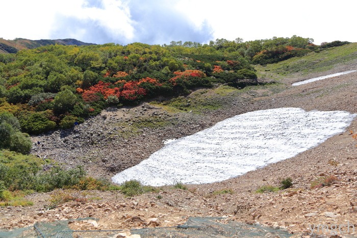 f0157812_15512382.jpg