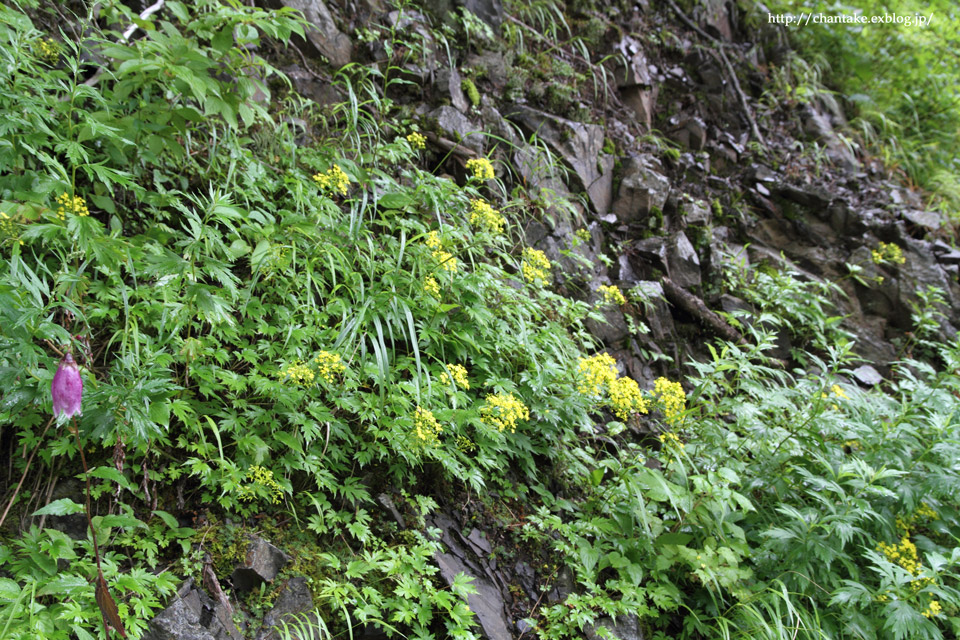 c0189013_5425227.jpg