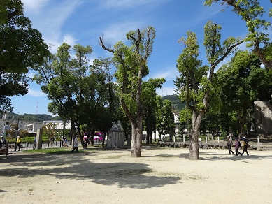 d0129713_22393473.jpg
