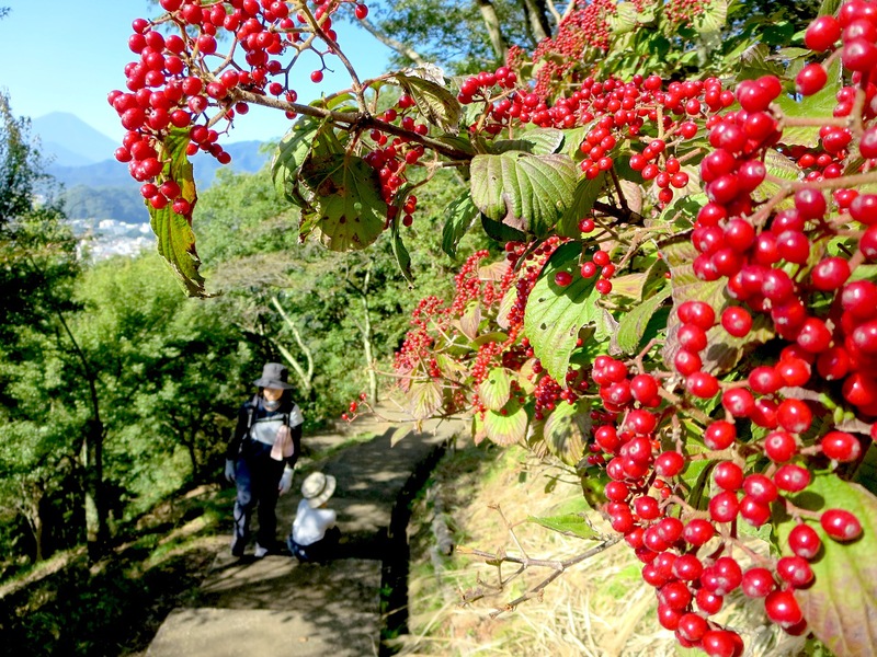 怖かった〜。。。岩殿山〜稚児落とし！！！　_a0165316_2025991.jpg