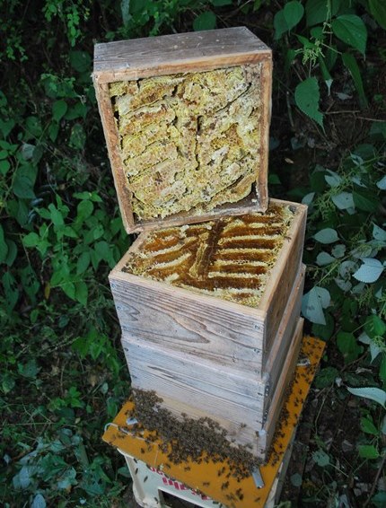 残5個ニホンミツバチ重箱式 巣箱蜜蜂巣箱重箱式