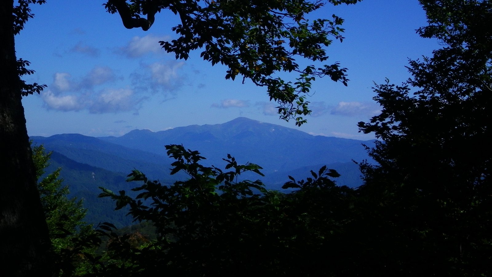 b0062024_21195438.jpg