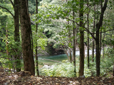 b0147224_2310316.jpg