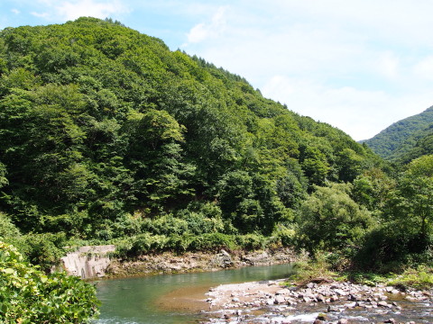 b0147224_23134446.jpg