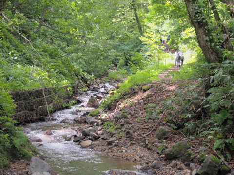 b0147224_23232448.jpg