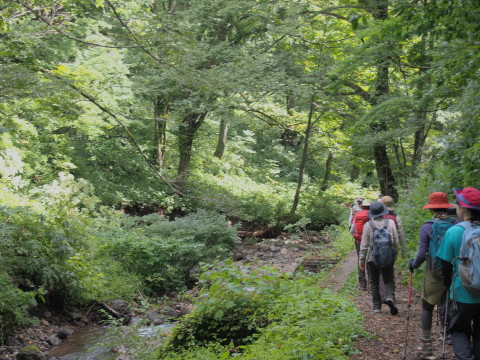 b0147224_23272453.jpg