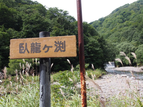 b0147224_236374.jpg