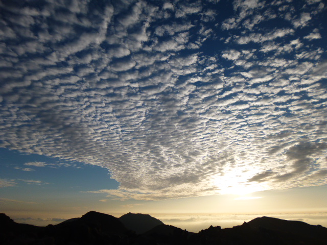 a0220528_22472914.jpg