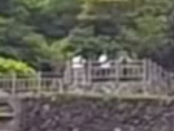 a0132631_01115963.png