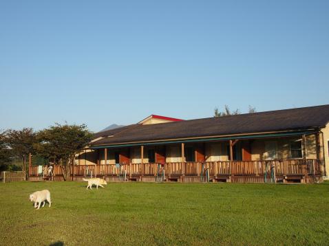 c0117831_2171841.jpg