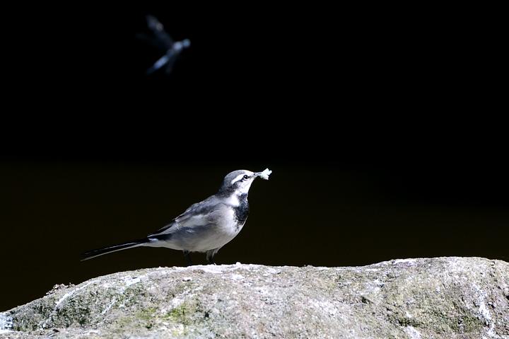 b0191934_23252448.jpg