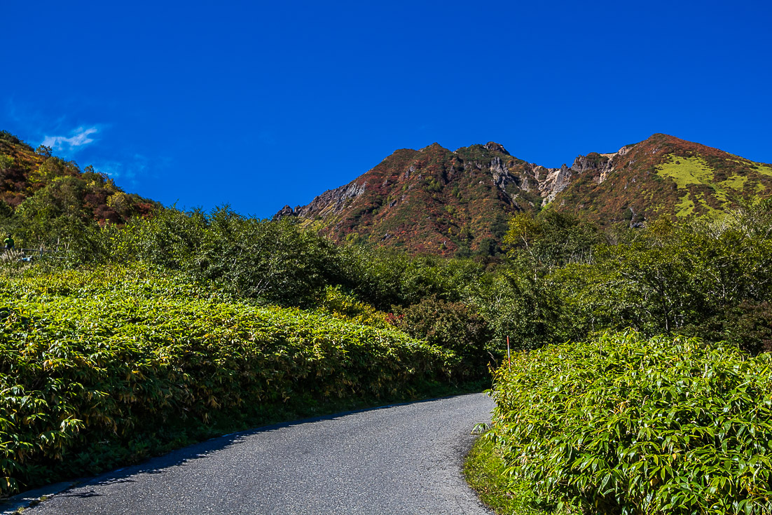 至福のひとり那須ヒルクライム　後編_b0295234_1862961.jpg