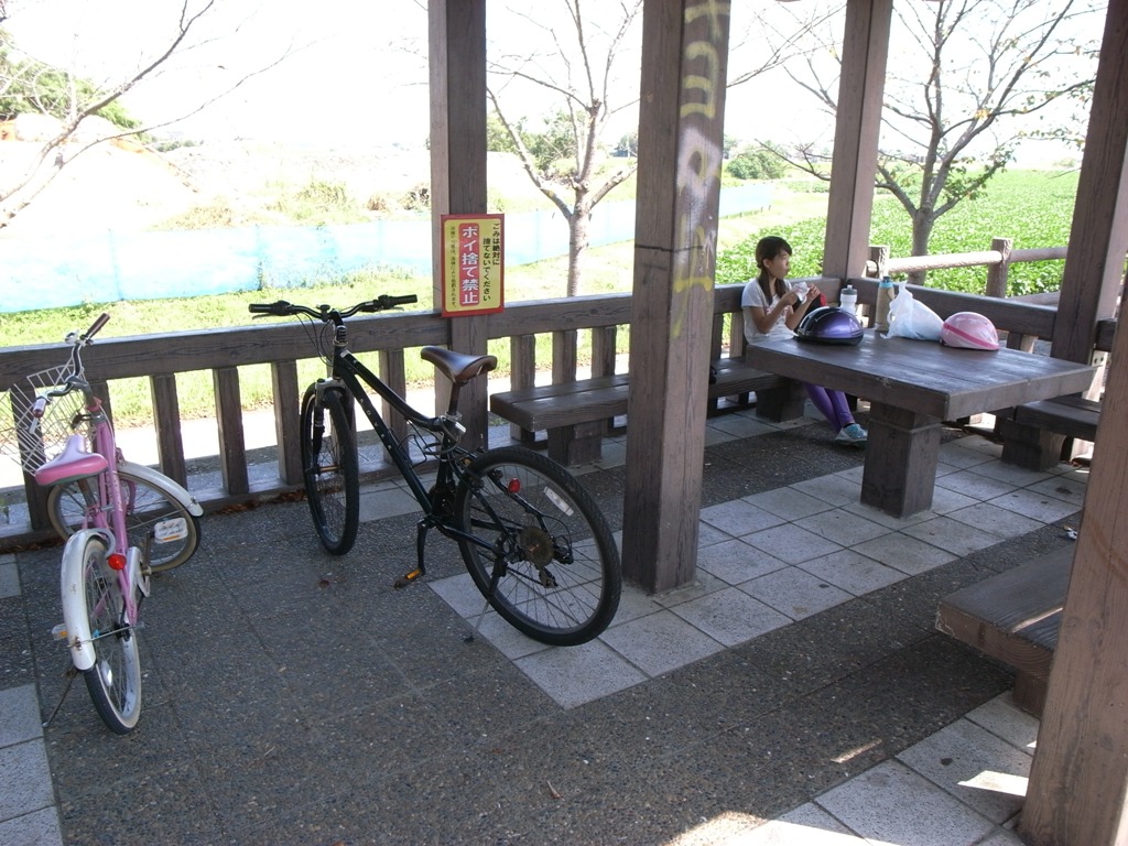 f0176239_12452237.jpg