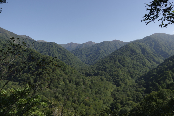 d0237340_18144642.jpg
