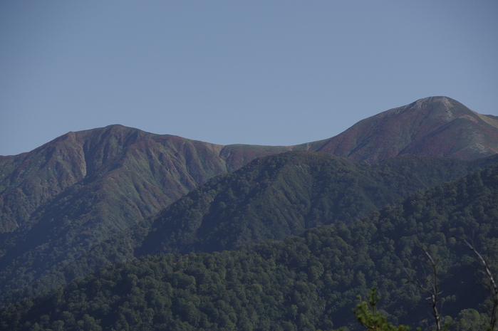 d0237340_1875256.jpg