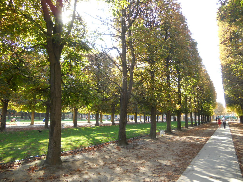 e0300042_6565496.jpg