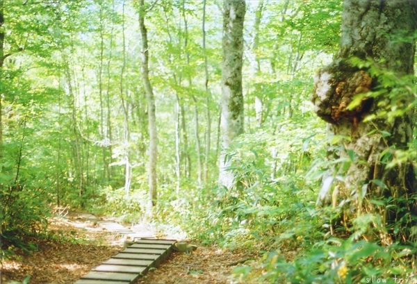 c0228945_17165146.jpg