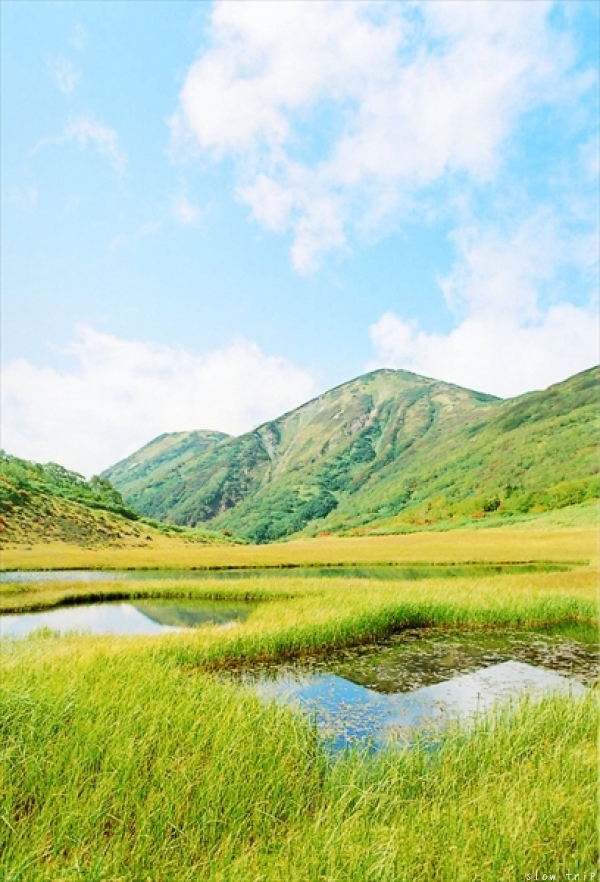 c0228945_17202825.jpg