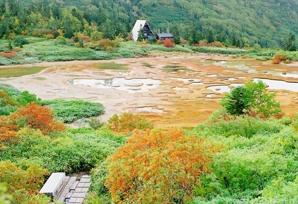 c0228945_17245119.jpg