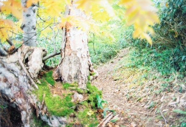 c0228945_17262801.jpg