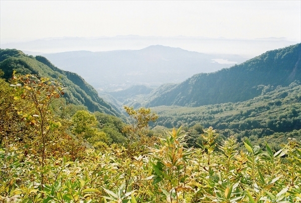 c0228945_17262804.jpg