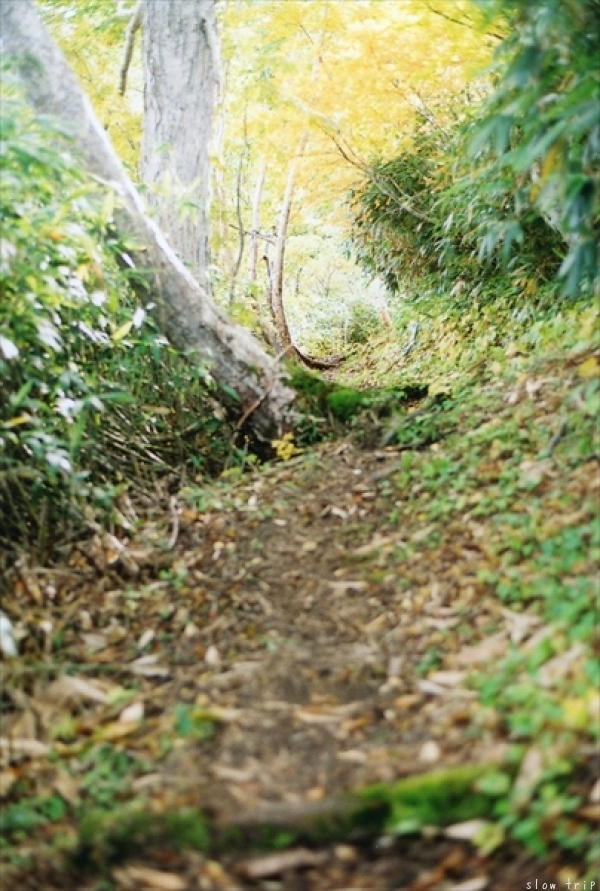 c0228945_17262827.jpg