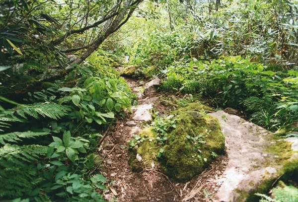c0228945_17262851.jpg