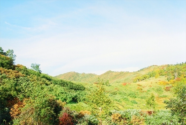 c0228945_17262898.jpg
