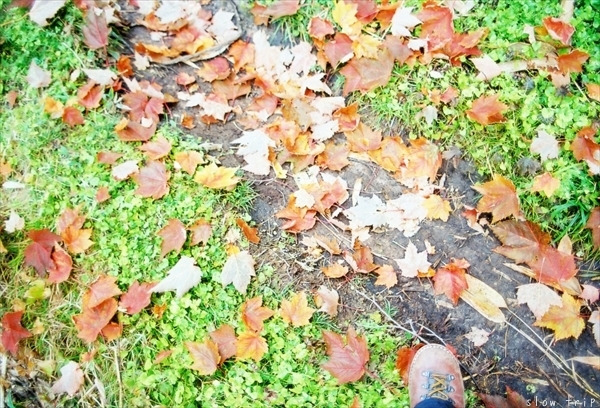 c0228945_17262910.jpg