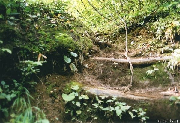 c0228945_17262918.jpg