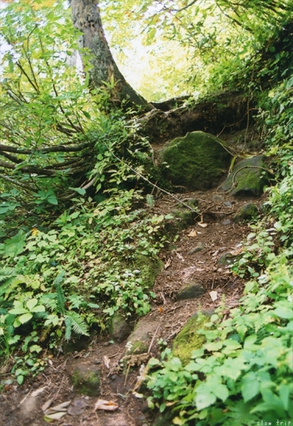 c0228945_17262977.jpg