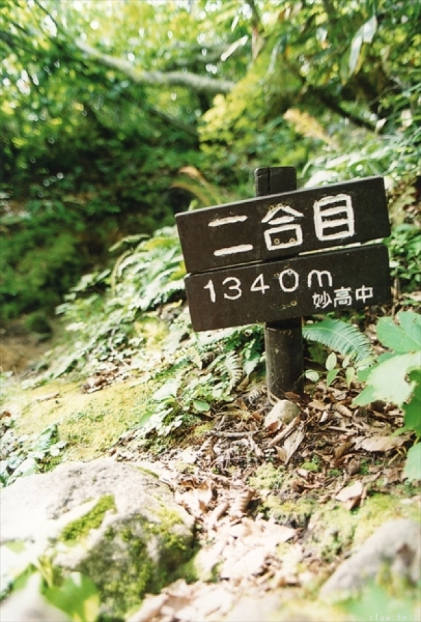 c0228945_17295218.jpg