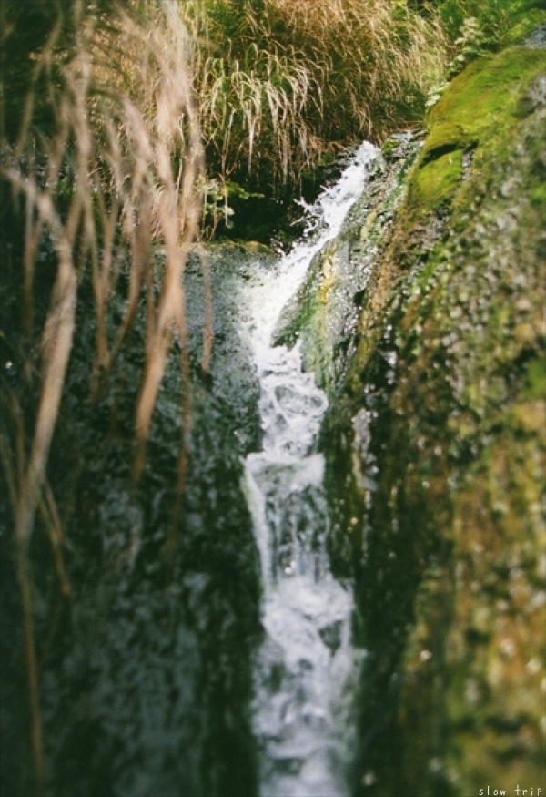c0228945_17295224.jpg
