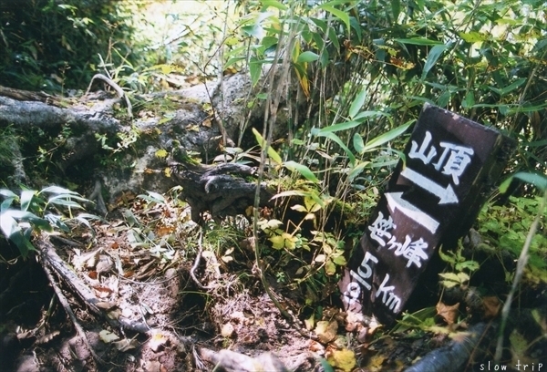 c0228945_17462042.jpg