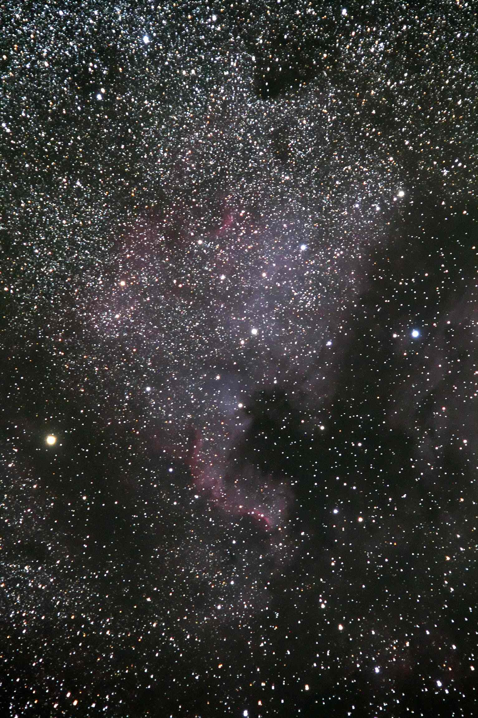 d0100048_2134766.jpg