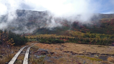 白馬三山：1日目（栂池~白馬大池）約6K_b0148050_11405558.jpg