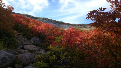 白馬三山：1日目（栂池~白馬大池）約6K_b0148050_11442287.jpg