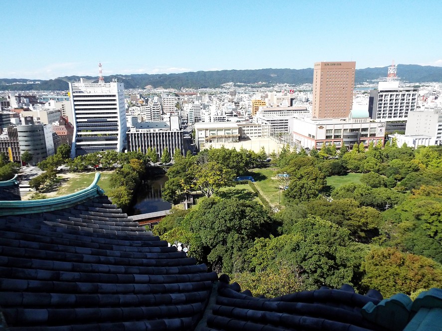 　　　和歌山城_b0093754_17224643.jpg