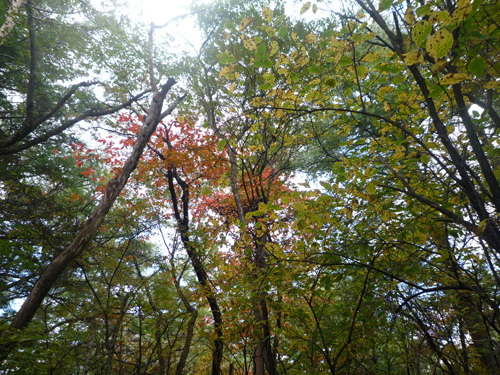 b0045357_8163779.jpg