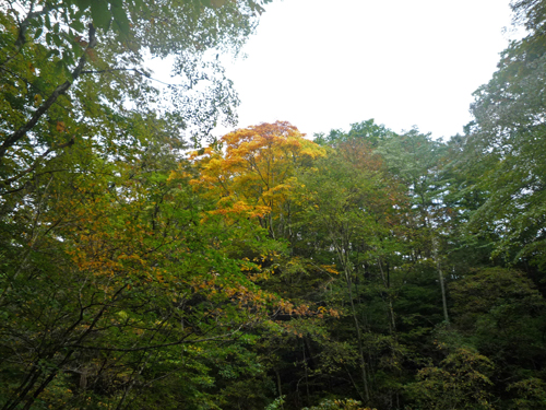 b0045357_81944.jpg