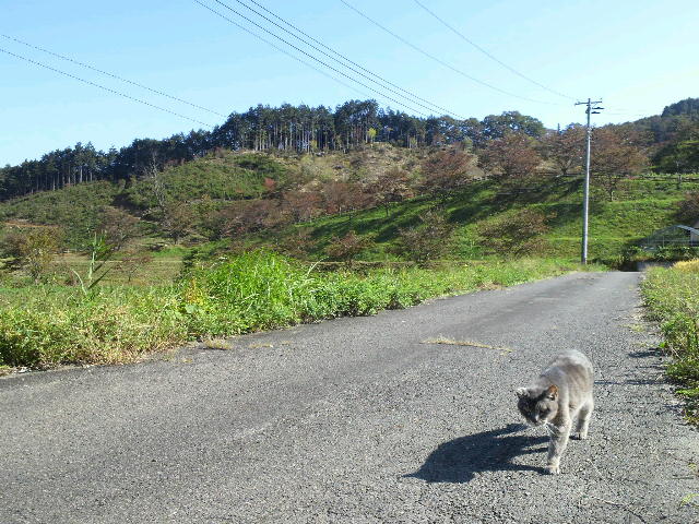 f0208665_933346.jpg