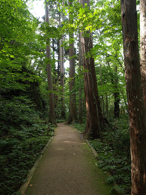 b0006870_13262632.jpg