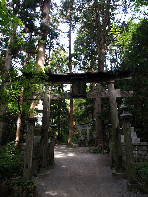 b0006870_1326459.jpg