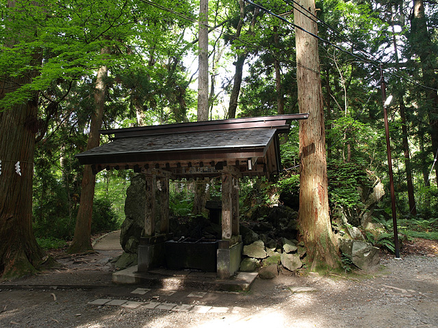 b0006870_144147.jpg