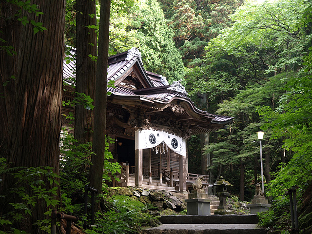 b0006870_144317.jpg