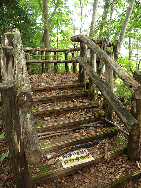 b0006870_1454629.jpg