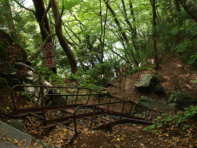 b0006870_1473499.jpg