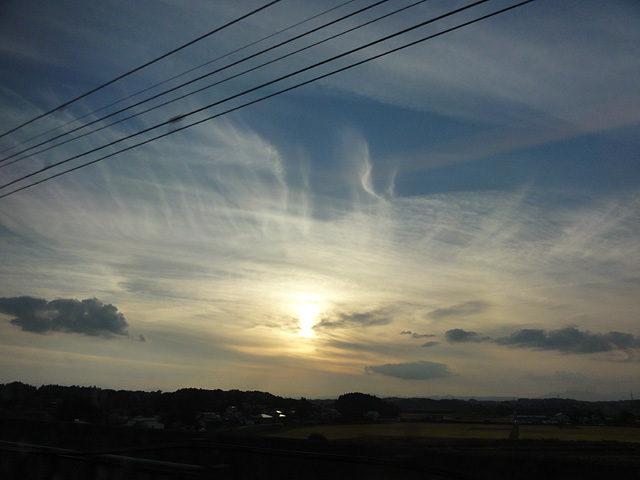 b0006870_15433810.jpg